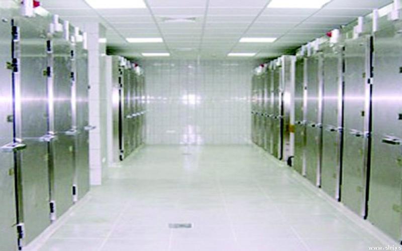 22 وفاة نتيجة حوادث في آخر يومين من عطلة العيد