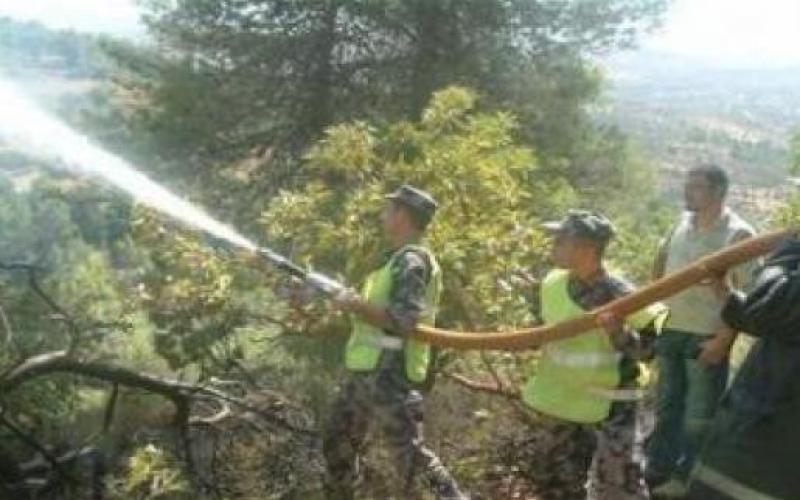 حريق أعشاب جافة وأشجار حرجية في الطفيلة