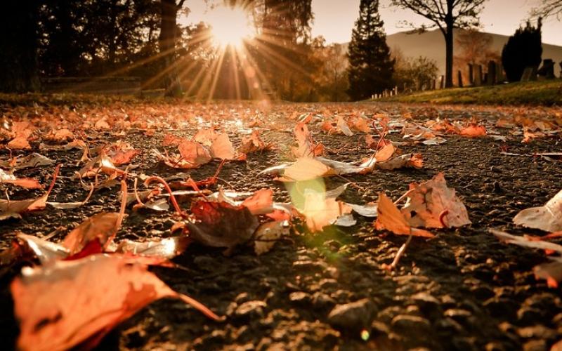 أجواء خريفية حتى نهاية الأسبوع