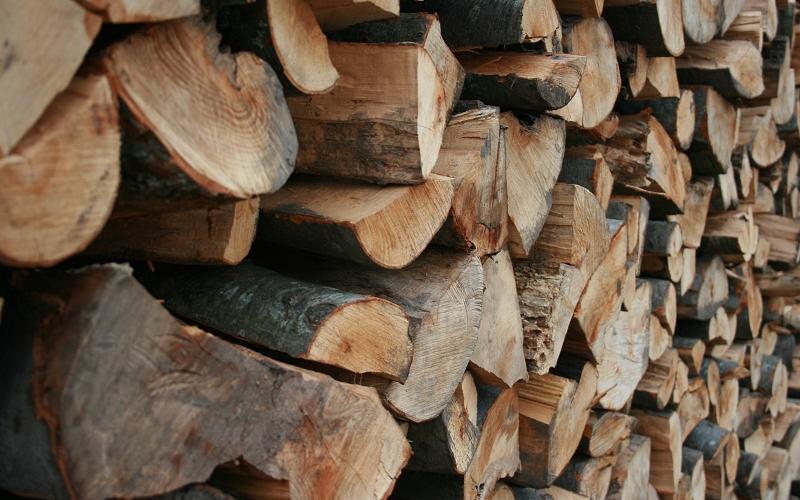 دوريات على مداخل عمّان لمنع تجارة الحطب