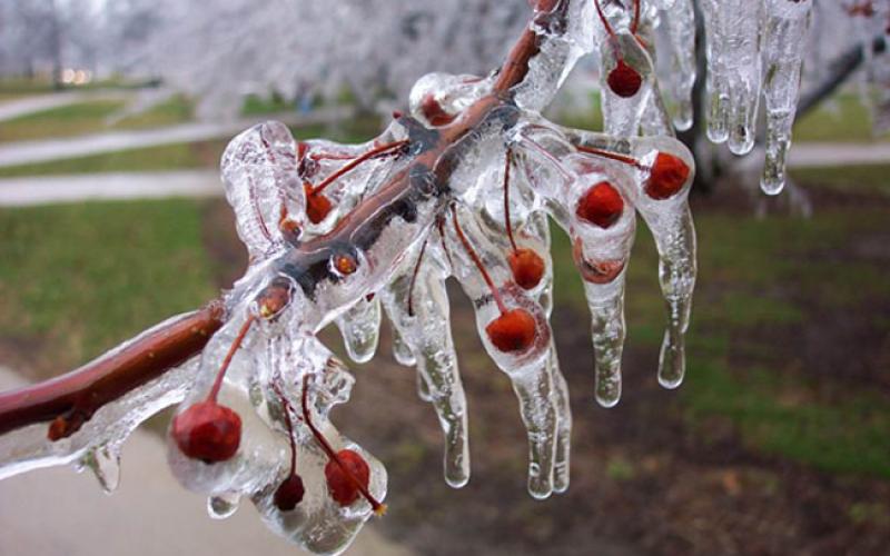 طقس بارد نهارا وتحذير من الصقيع ليلا حتى الثلاثاء