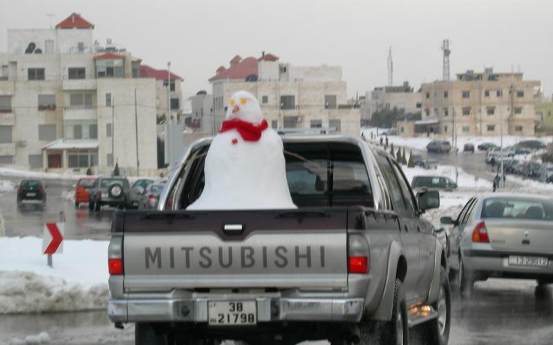 عجلون تشهد تساقطا كثيفا للثلوج