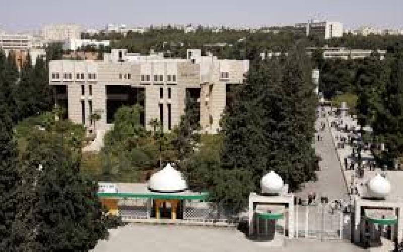 الطالبات الجامعيات، توجيه وتمكين اقتصادي