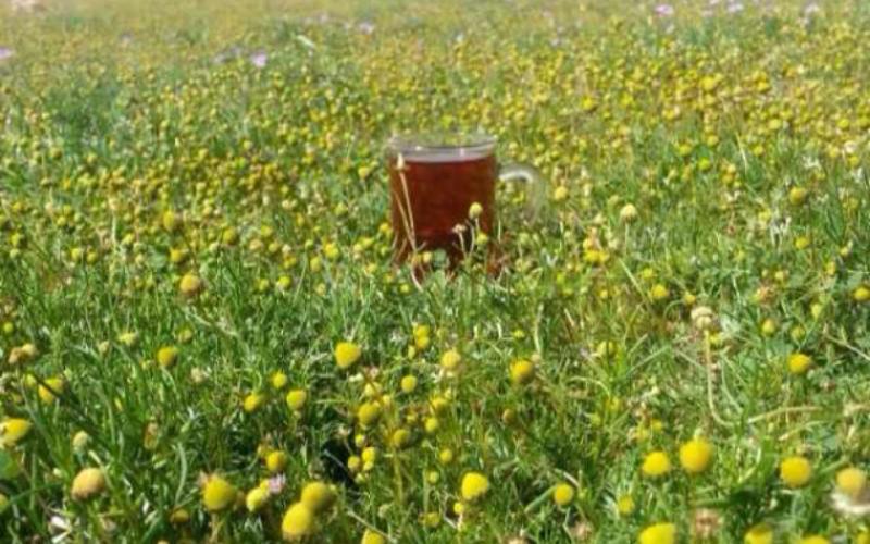 اجواء ربيعية معتدلة