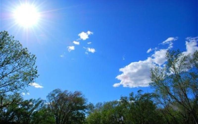 أجواء ربيعية والحرارة حول معدلاتها