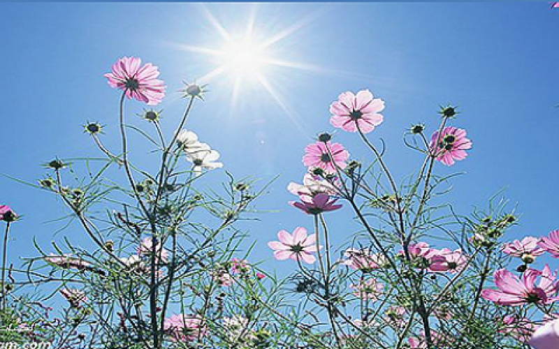 أجواء ربيعية والعظمى في عمان 35 درجة