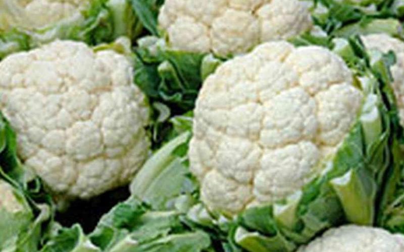 الكويت ترفض إدخال إرسالية خضار أردنية