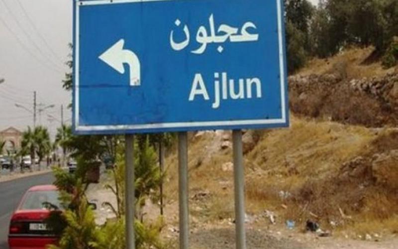 عجلون: وفاة طفلين شقيقين دهسا