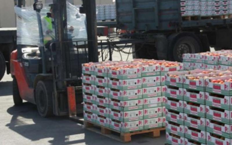 الزراعة: زيادة الصادرات للخليج بـ45%