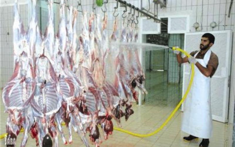 ذبحيات مسلخ الأمانة استعدادا لرمضان