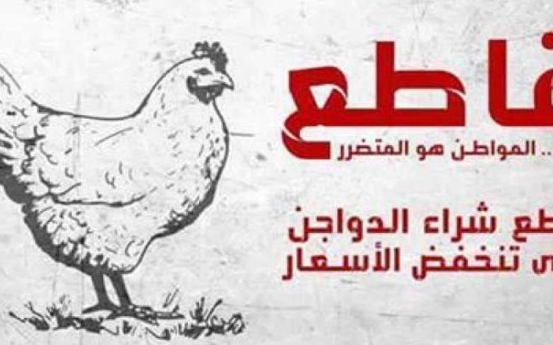 "حماية المستهلك": السقوف السعرية للدواجن تخدم الشركات والمزارع