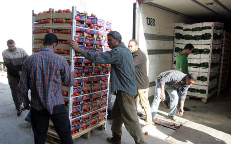 مصدرو الخضار: خسائر بمليون دينار نتيجة منع دخول الأراضي القطرية