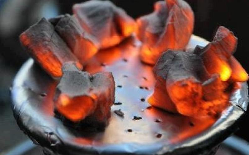 لا تراخيص جديدة لتقديم الاراجيل