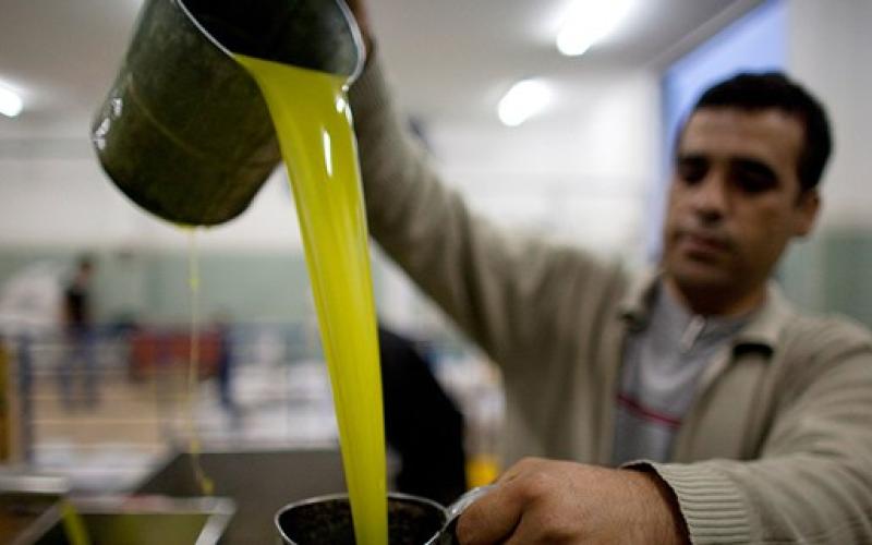 وقف إدخال زيت الزيتون من الضفة إلى المملكة