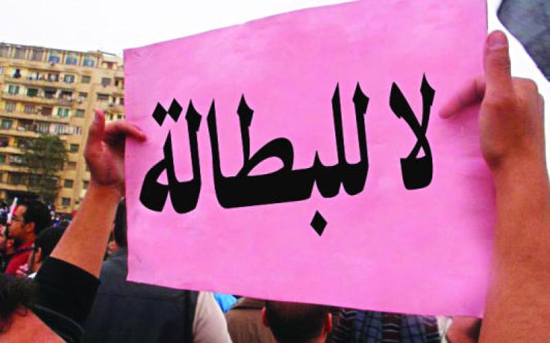 334 الف طلب توظيف سنويا تصل ديوان الخدمة