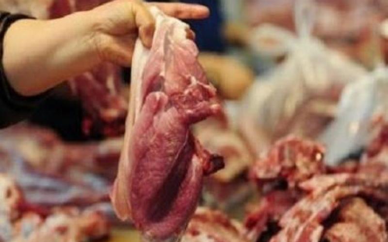 اتلاف لحوم ابقار مصابة بامراض معدية في اربد