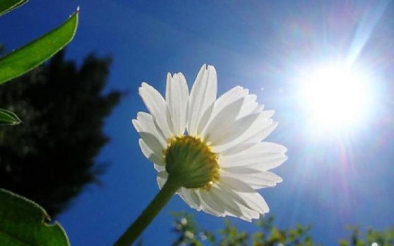 أجواء حارة وجافة والعظمى في عمان 33 درجة