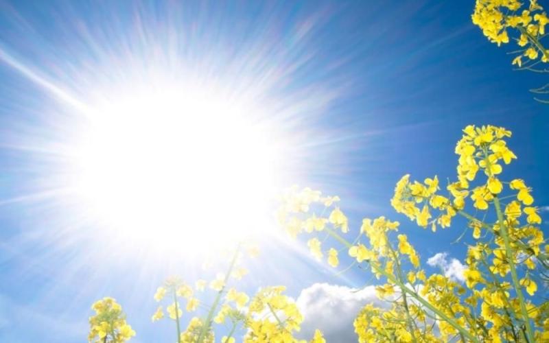 أجواء صيفية نهارا ولطيفة مساء