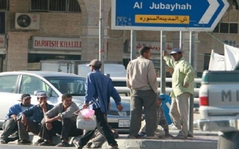 ضبط وتسفير 250 عاملا وافدا