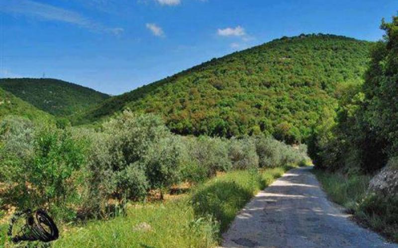 طائرة بدون طيار تكشف 15 اعتداء على البيئة في عجلون