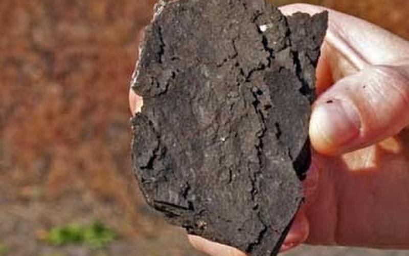 الأردن يبدأ بتحويل الصخر الزيتي إلى طاقة كهربائية