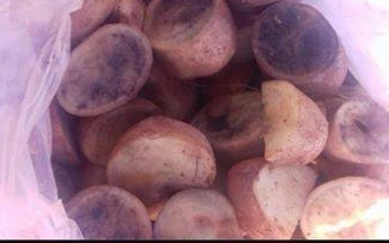 المستهلك" تحذر من بطاطا متعفنة تباع في الاسواق