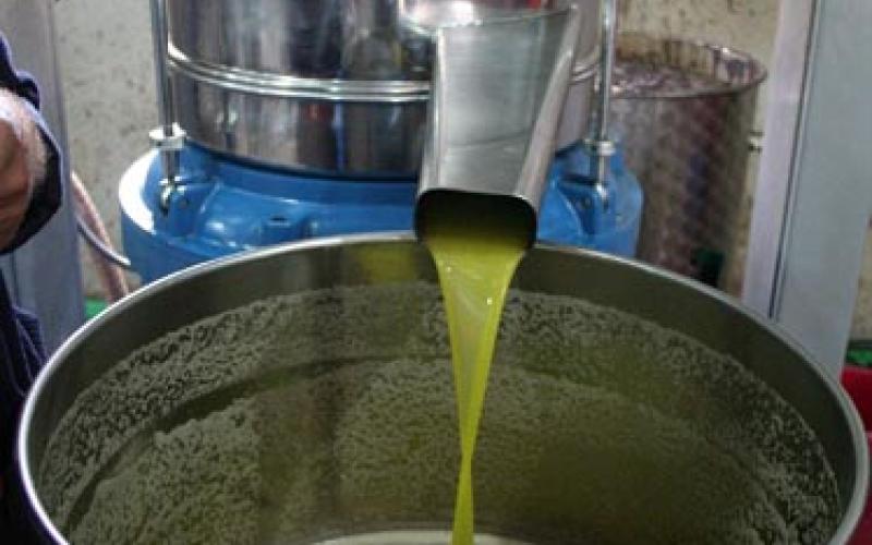 عبيدات يطالب بملاحقة تجار زيت الزيتون المغشوش قضائيا