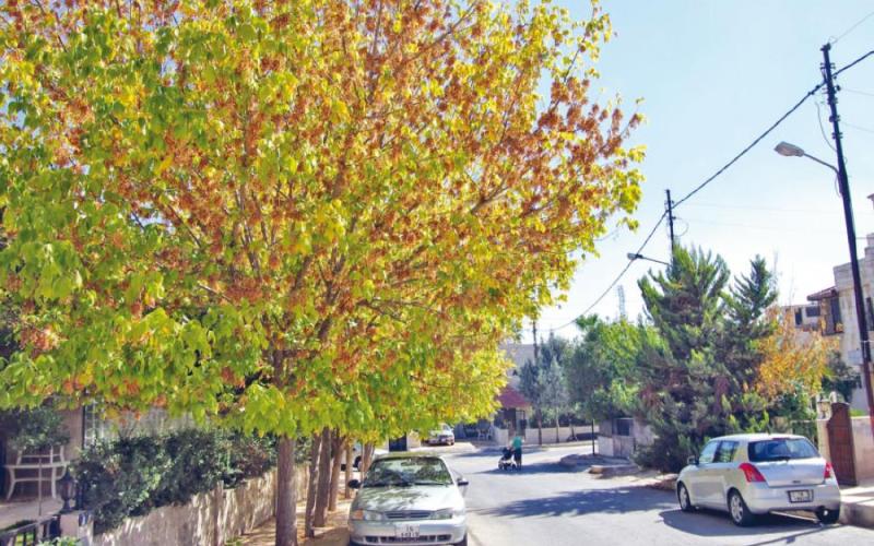 اجواء خريفية