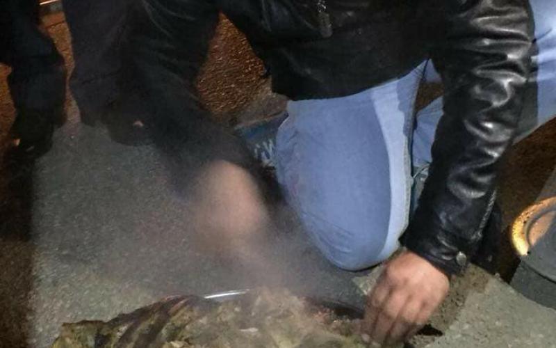 موائد لمعتصمين أمام لسفارة الأمريكية في عمّان (صور)‎