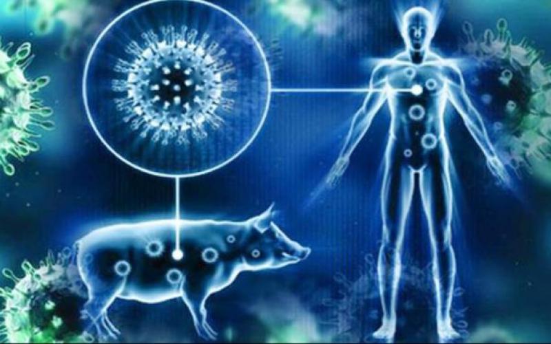 كيف تميز بين الإنفلونزا و أعراض إنفلونزا الخنازير؟ )انفوجرافيك(