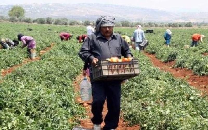 ترحيب زراعي حذر من إيقاف الملاحقات القانونية‎