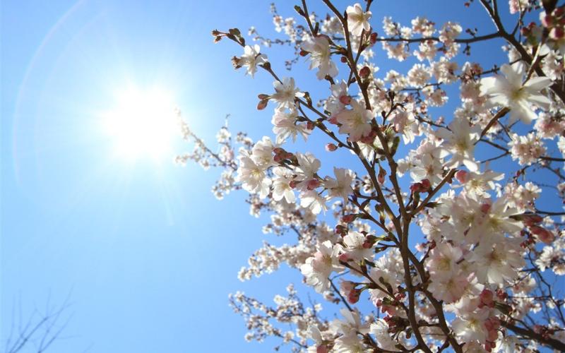 اجواء دافئة ولطيفة حتى الجمعة