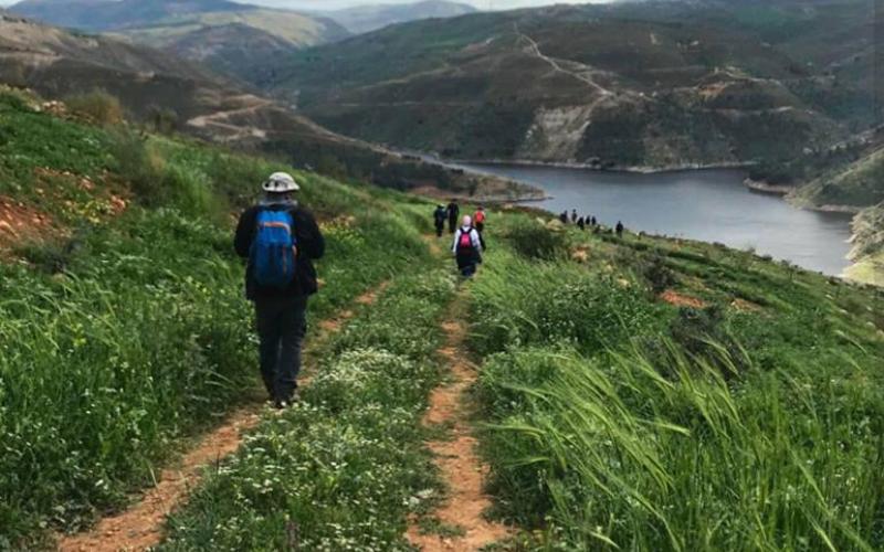 صور خيالية للطبيعة في الأردن