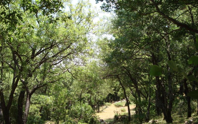 قانون معدل للزراعة.. يتضمن استبدالا للأراضي