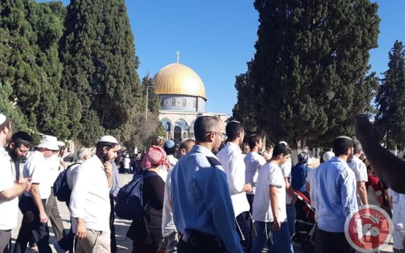 الخارجية الفلسطينية تُحذر من مخاطر الإجراءات التهويدية المُتسارعة لبناء "الهيكل"