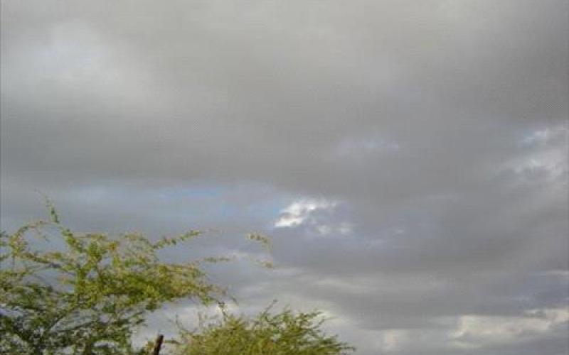 انخفاض على الحرارة واحتمال هطول زخات محلية