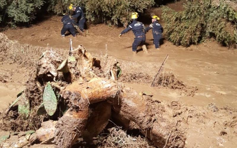 الدفاع المدني يعلن تفاصيل عملياته في مادبا ومعان والبلقاء