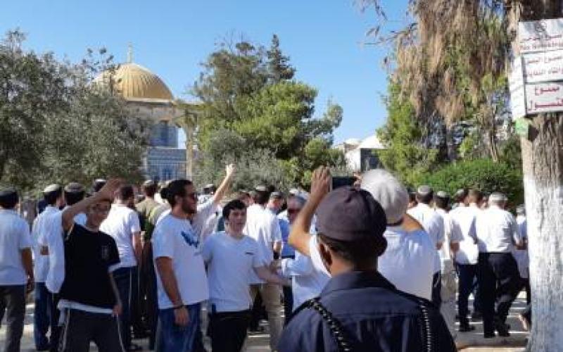عشرات المستوطنين يجددون اقتحام الأقصى