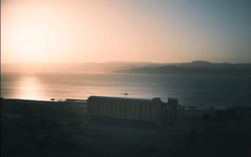 تحقيق يكشف عن استهلاك الاردنيين لقمح يحتوي على عفن وحشرات حية خلال السنوات الماضية