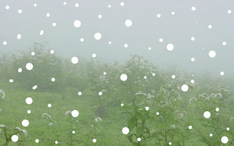 تحذير من غزارة الأمطار وتشكل السيول