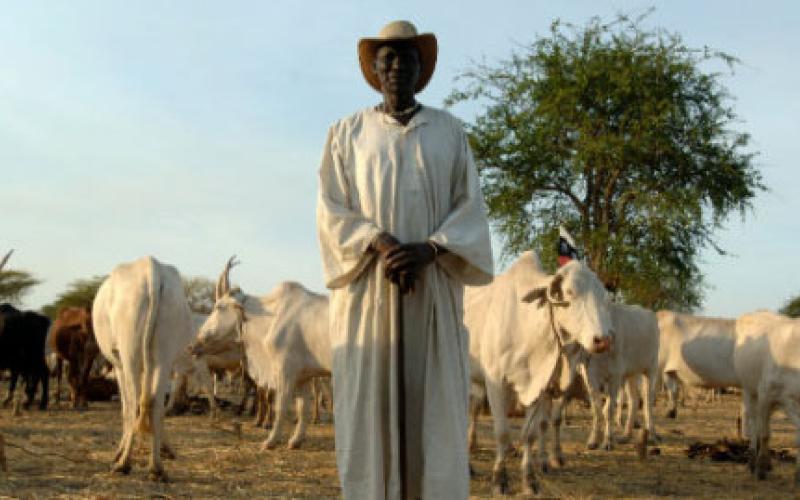 الزراعة تنتظر موافقة مجلس الوزراء لاستثمار أراضي السودان