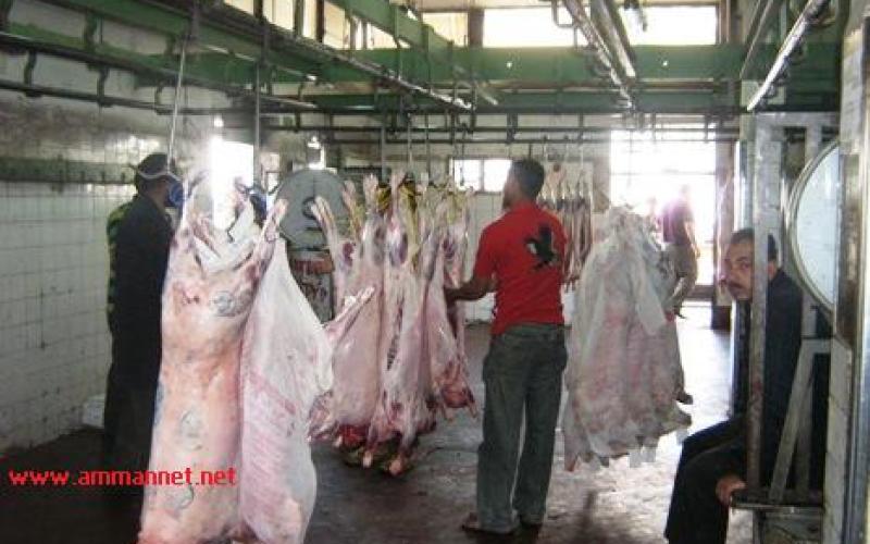 فيديو..."حيتان" تتحكم في أعداد الذبائح في مسلخ الأمانة