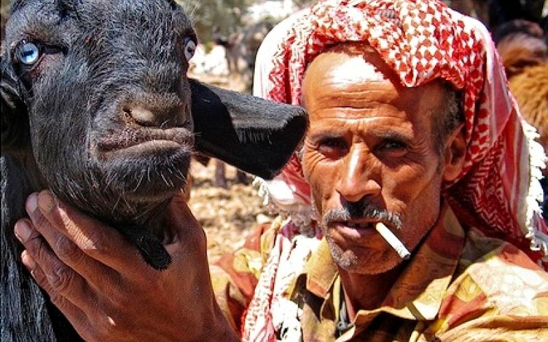 نقل سوق الحلال في دير علا يثير احتجاج مربي المواشي