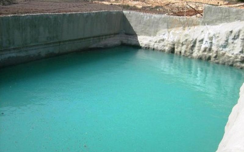 البرك الزراعية مصيدة لأرواح في الأغوار