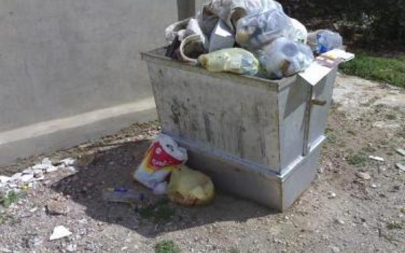 النفايات تغمر المشارع في الغور الشمالي..(فيديو)