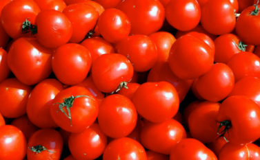 انخفاض أسعار الخضار والبندورة بـ5 قروش